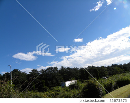 稻毛海濱公園的藍天白雲 稻毛海濱公園的藍天白雲 83673873