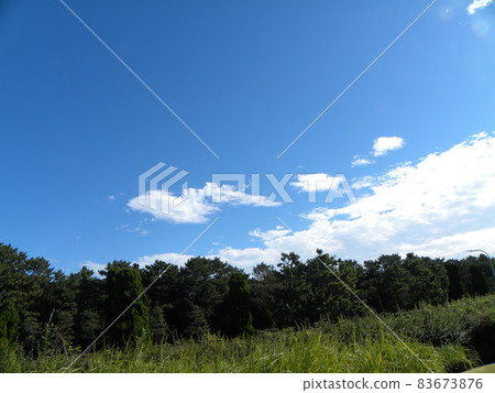 Blue sky and white clouds at Inage Seaside Park 83673876