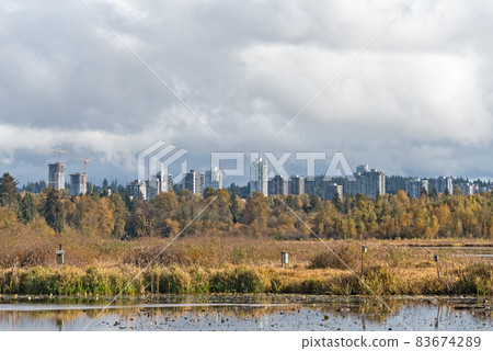 Hand made bird houses on a bright autumn day in British Columbia Hand made bird houses on a bright autumn day in British Columbia 83674289