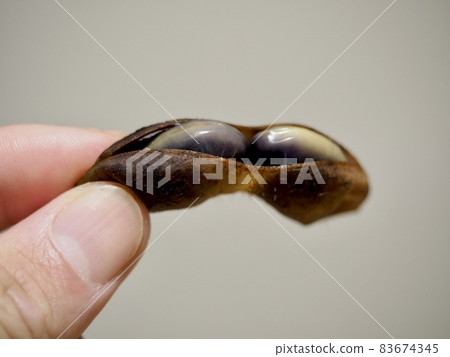 丹波黑豆剝落 丹波黑豆剝落 83674345