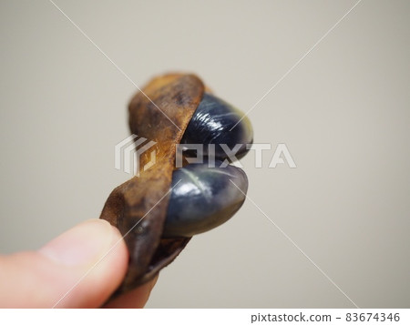 丹波去皮黑豆 83674346