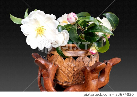 花瓶中的 Sasanqua 白花 83674820