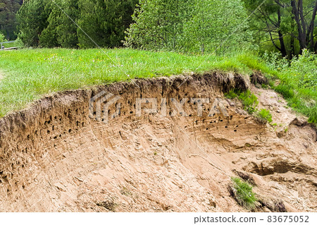 Sandy bank of the river with nests of swallows 83675052