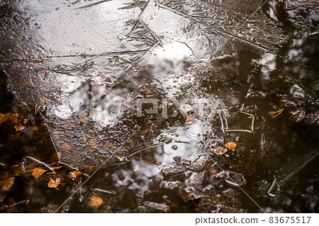 frozen puddle in autumn frozen puddle in autumn 83675517