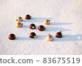 Christmas decorations on white snow 83675519
