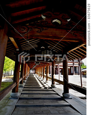 Scenery of Seidaiji Temple of Echizen Daibutsu 83675619