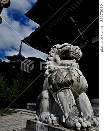 Scenery of Seidaiji Temple of Echizen Daibutsu 83675620