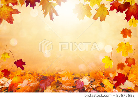 Autumn landscape, beautiful city park with fallen yellow leaves. Autumn landscape, beautiful city park with fallen yellow leaves. 83675682
