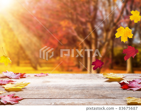 Old wooden desk top with golden leaves, autumn background Old wooden desk top with golden leaves, autumn background 83675687
