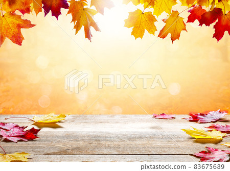 Autumn landscape, beautiful city park with fallen yellow leaves. Autumn landscape, beautiful city park with fallen yellow leaves. 83675689
