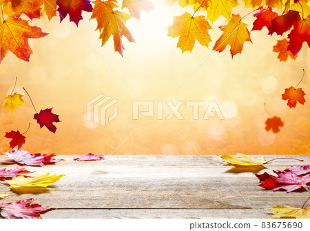 Autumn landscape, beautiful city park with fallen yellow leaves. Autumn landscape, beautiful city park with fallen yellow leaves. 83675690