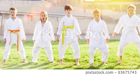 Tween girls and boys exercising taekwondo techniques on green lawn Tween girls and boys exercising taekwondo techniques on green lawn 83675743