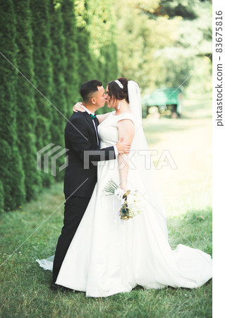 Perfect couple bride, groom posing and kissing in their wedding day 83675816