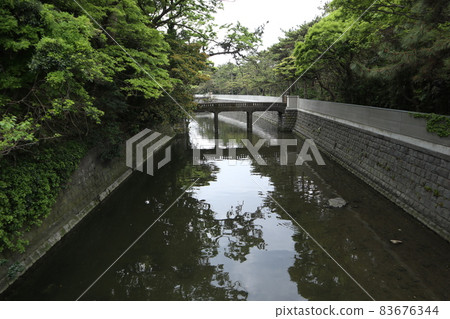 葉山御苑 下山川 83676344