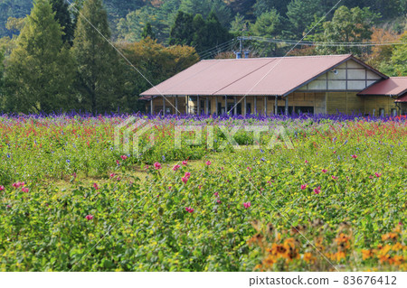 Menard Aoyama Resort Herb Garden with Autumn Flowers Menard Aoyama Resort Herb Garden with Autumn Flowers 83676412
