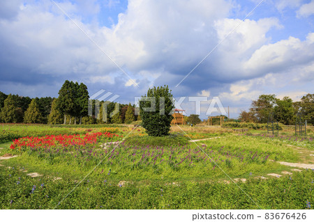 Menard Aoyama Resort Herb Garden with Autumn Flowers 83676426