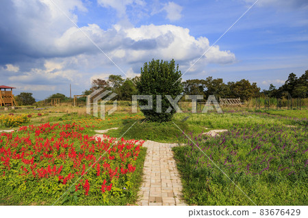 Menard Aoyama Resort Herb Garden with Autumn Flowers Menard Aoyama Resort Herb Garden with Autumn Flowers 83676429