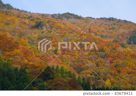 Scenery along the Gamada River in Okuhida Onsenkyo with colored leaves 83679411