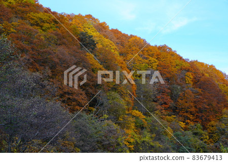 Scenery along the Gamada River in Okuhida Onsenkyo with colored leaves 83679413