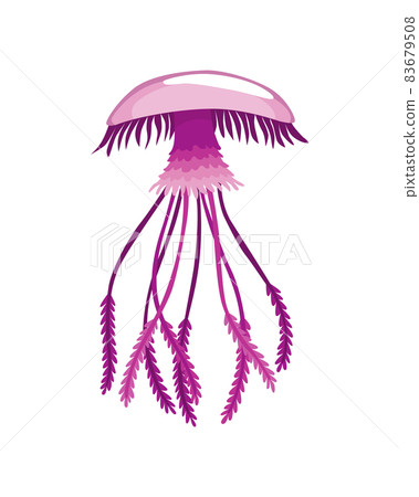 Jellyfish. Sea wildlife or ocean fauna concept. Aquatic underwater or undersea animal. Creative medusa flat icon for web design. Colorful swimming marine creature Jellyfish. Sea wildlife or ocean fauna concept. Aquatic underwater or undersea animal. Creative medusa flat icon for web design. Colorful swimming marine creature 83679508