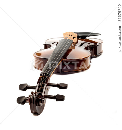 Violin on a white background with pegs to the camera. Violin on a white background with pegs to the camera. 83679740