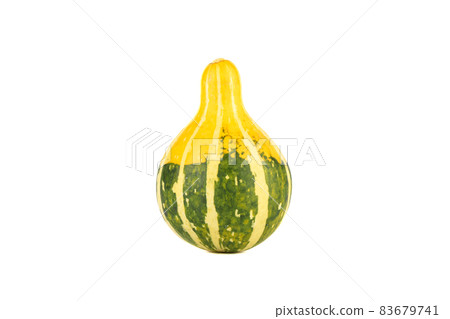 Close-up of a small decorative pumpkin isolated on a white background. Close-up of a small decorative pumpkin isolated on a white background. 83679741