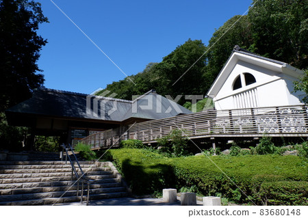 七澤森林公園 83680148