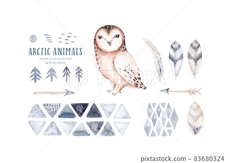 Forest cartoon isolated cute baby arctic polar owl animal Nursery illustration for children. Watercolor child nursery boho drawing, image Perfect for nursery poster Forest cartoon isolated cute baby arctic polar owl animal Nursery illustration for children. Watercolor child nursery boho drawing, image Perfect for nursery poster 83680324