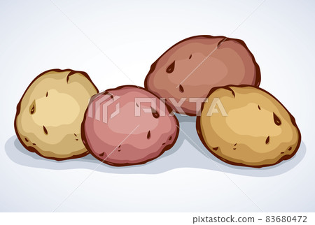 Potato. Vector drawing 83680472