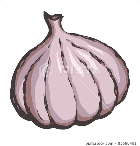 Garlic.eps 83680481