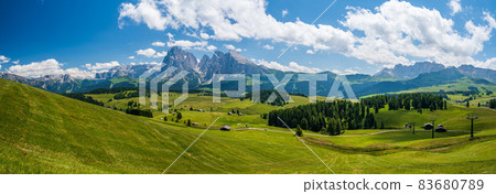 Seiser Alm Plateau in summertime Seiser Alm Plateau in summertime 83680789