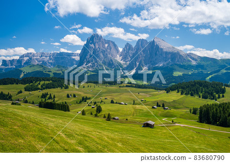 Seiser Alm Plateau in summertime 83680790