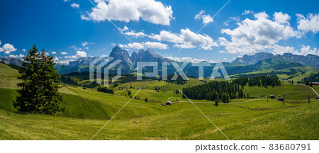 Seiser Alm Plateau in summertime Seiser Alm Plateau in summertime 83680791