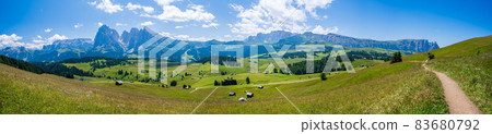 Seiser Alm Plateau in summertime Seiser Alm Plateau in summertime 83680792