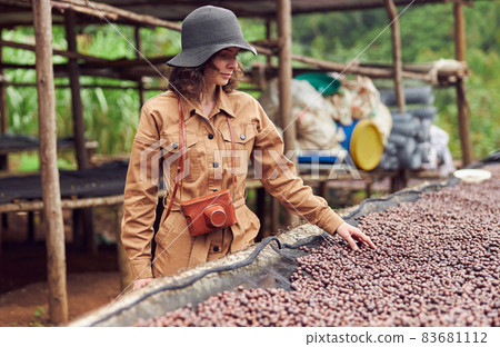 caucasian woman is testing natural drying coffee beans at coffee production center in africa caucasian woman is testing natural drying coffee beans at coffee production center in africa 83681112