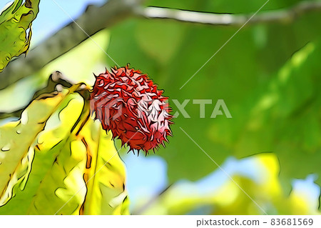 粉彩般的“玉蘭紅果”插圖圖像 83681569