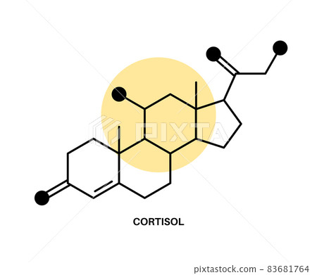 Cortisol chimical formula 83681764