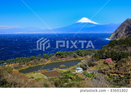 從春天的井田山口 (Glittering Hill) 眺望駿河灣和富士山 從春天的井田山口 (Glittering Hill) 眺望駿河灣和富士山 83681802