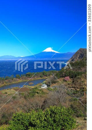 View of Suruga Bay and Mt. Fuji from the spring Ida Pass (Glittering Hill) View of Suruga Bay and Mt. Fuji from the spring Ida Pass (Glittering Hill) 83681809