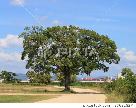 Mukogawa riverbed and EF510 towed freight train 83681827