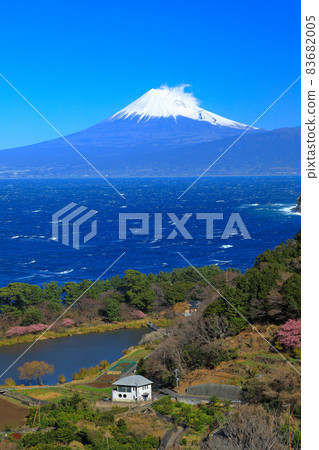 從春天的井田山口 (Glittering Hill) 眺望駿河灣和富士山 從春天的井田山口 (Glittering Hill) 眺望駿河灣和富士山 83682005
