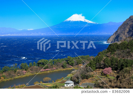 從春天的井田山口 (Glittering Hill) 眺望駿河灣和富士山 從春天的井田山口 (Glittering Hill) 眺望駿河灣和富士山 83682006