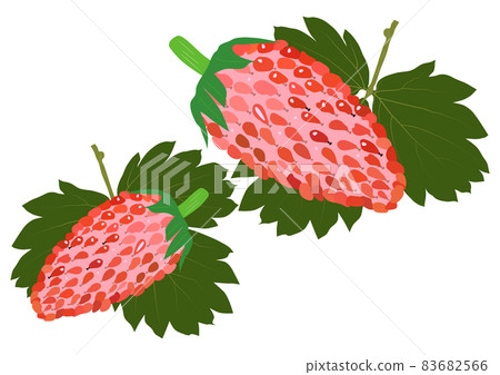 Wild Strawberry "Fruits" and "Leaves" Strawberry Strawberry 83682566