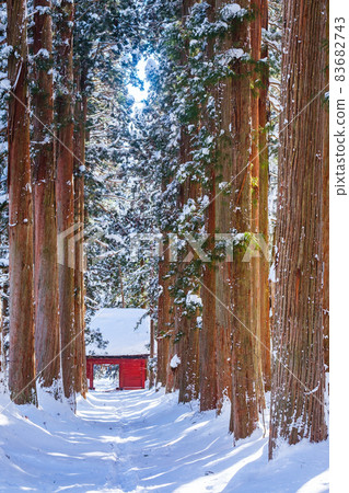 Togakushi Shrine / Okusha (winter) 83682743