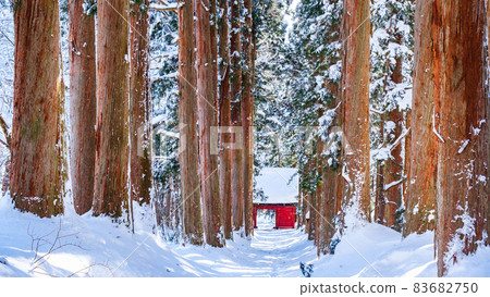 Togakushi Shrine / Okusha (winter) Togakushi Shrine / Okusha (winter) 83682750
