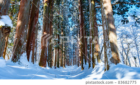 Togakushi Shrine / Okusha (winter) Togakushi Shrine / Okusha (winter) 83682775