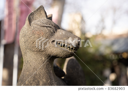 Inari looking sideways Inari looking sideways 83682903