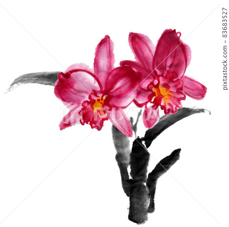 Red cattleya drawn with ink painting technique 83683527
