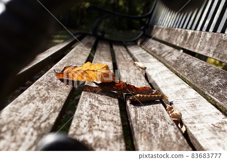 走四季秋天Tashima Kogen種植園 83683777