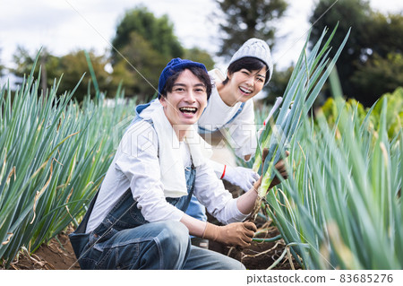 男人和女人在田裡收穫蔬菜 83685276